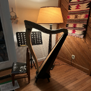 Hire Edward Ringwald for your Harp Event!